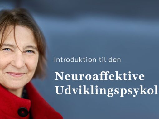 Introduktion til den neuroaffektive udviklingspsykologi